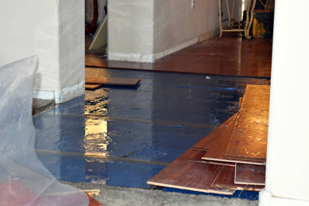 Professional Basement Flooding technician working in Newtonville, MA